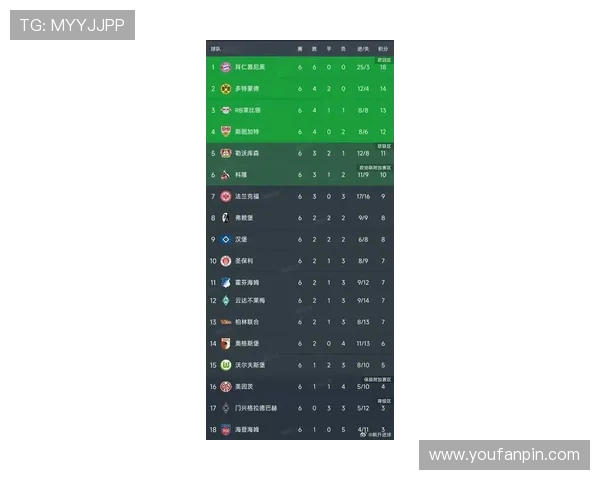 2024-2025赛季德甲降级球队名单及积分表现对比